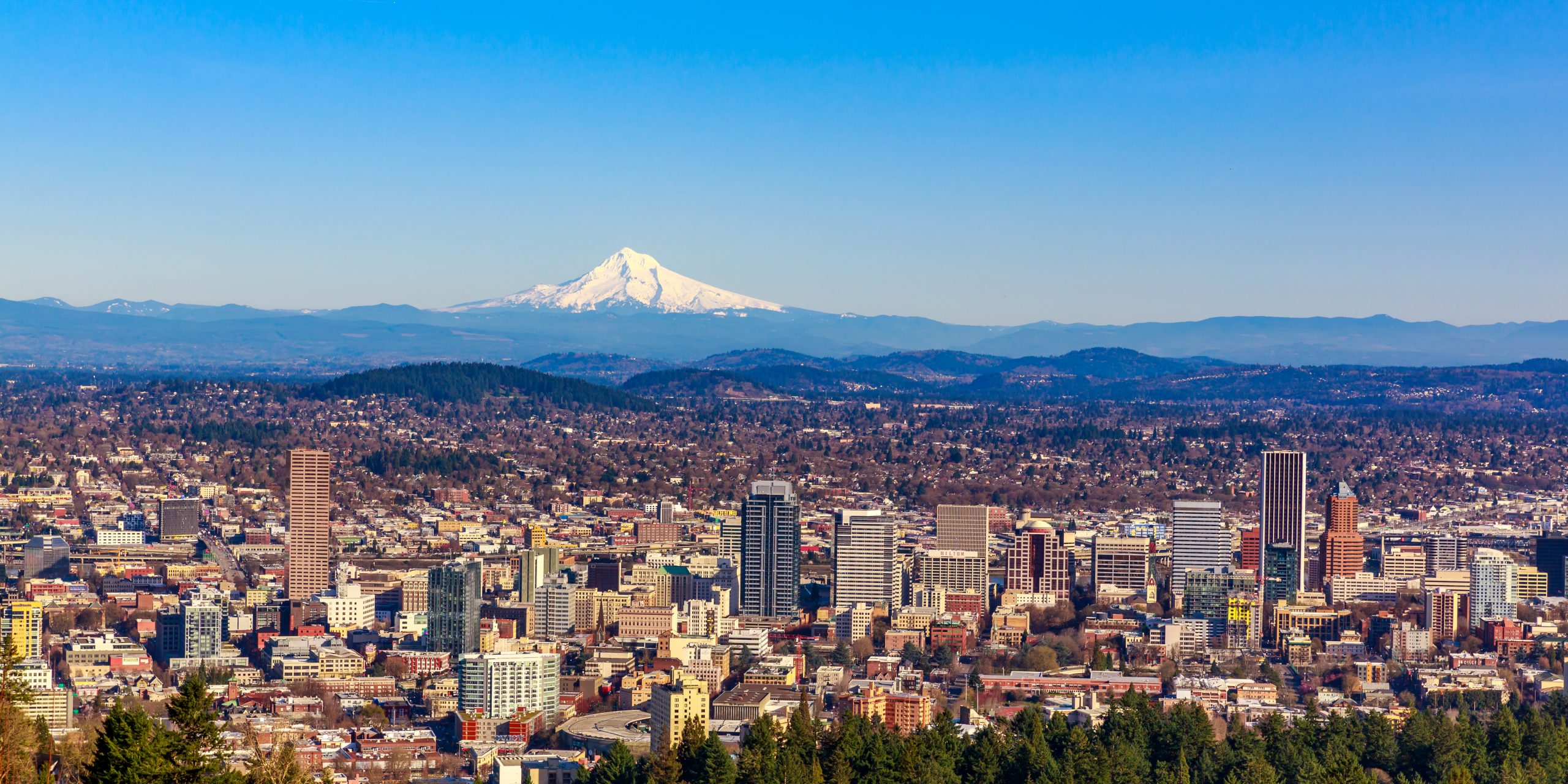 Personal Injury Attorney McMinnville Lakepoint Law Firm