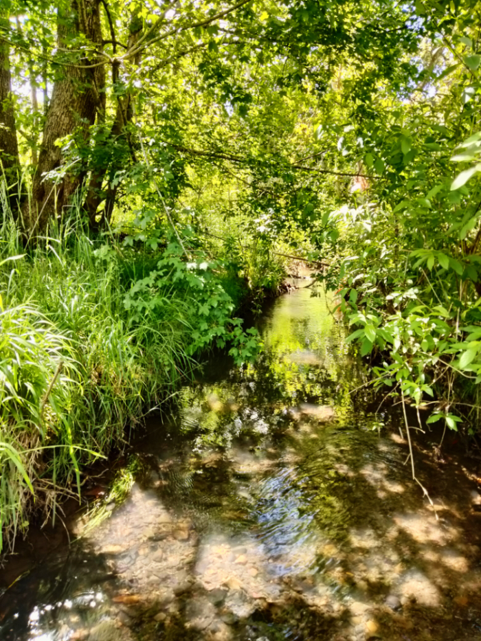 Clark Creek Park