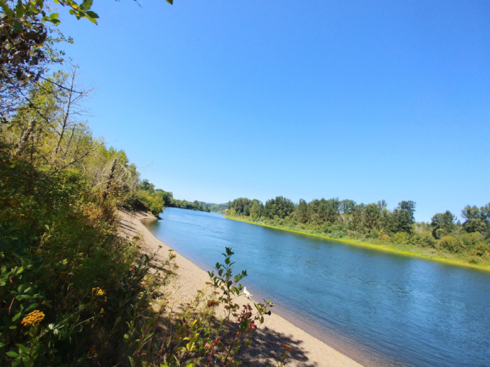 Parque de la Isla Minto-Brown